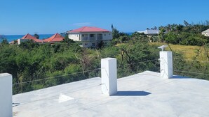 Property grounds - Dragonfly - House- Short walk to beach (Treasure Beach)