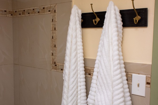 Combined shower/tub, hair dryer, towels, soap