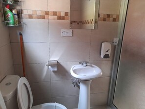 Shower, towels, soap, toilet paper