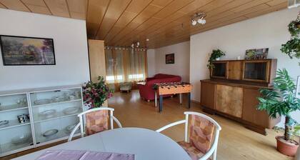 Large bright vacation apartment_only for private guests_ no fitters