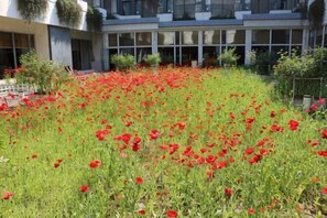 Property grounds - Rongma Hotel (Lianshui)