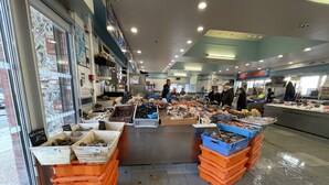 A seafood market with various seafood displayed in bins and crates. - Villa quai du Treport 4* facing port and sea. (Le treport)