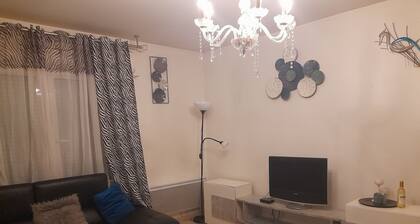 Superbe Appartement center commercial Rouen st sever