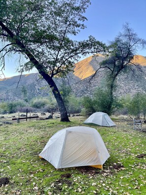 Ecotours - Yosemite Basecamp (Groveland)