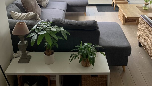 A modern living room with a grey sectional sofa, a white side table with a lamp, and a potted plant. - T4 family home 3 km from the beach (Anglet)