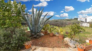 A garden with various potted plants, a large agave plant, and a view of a residential area in the background. - Holiday home Hana with air conditioning and sea views (Pula)