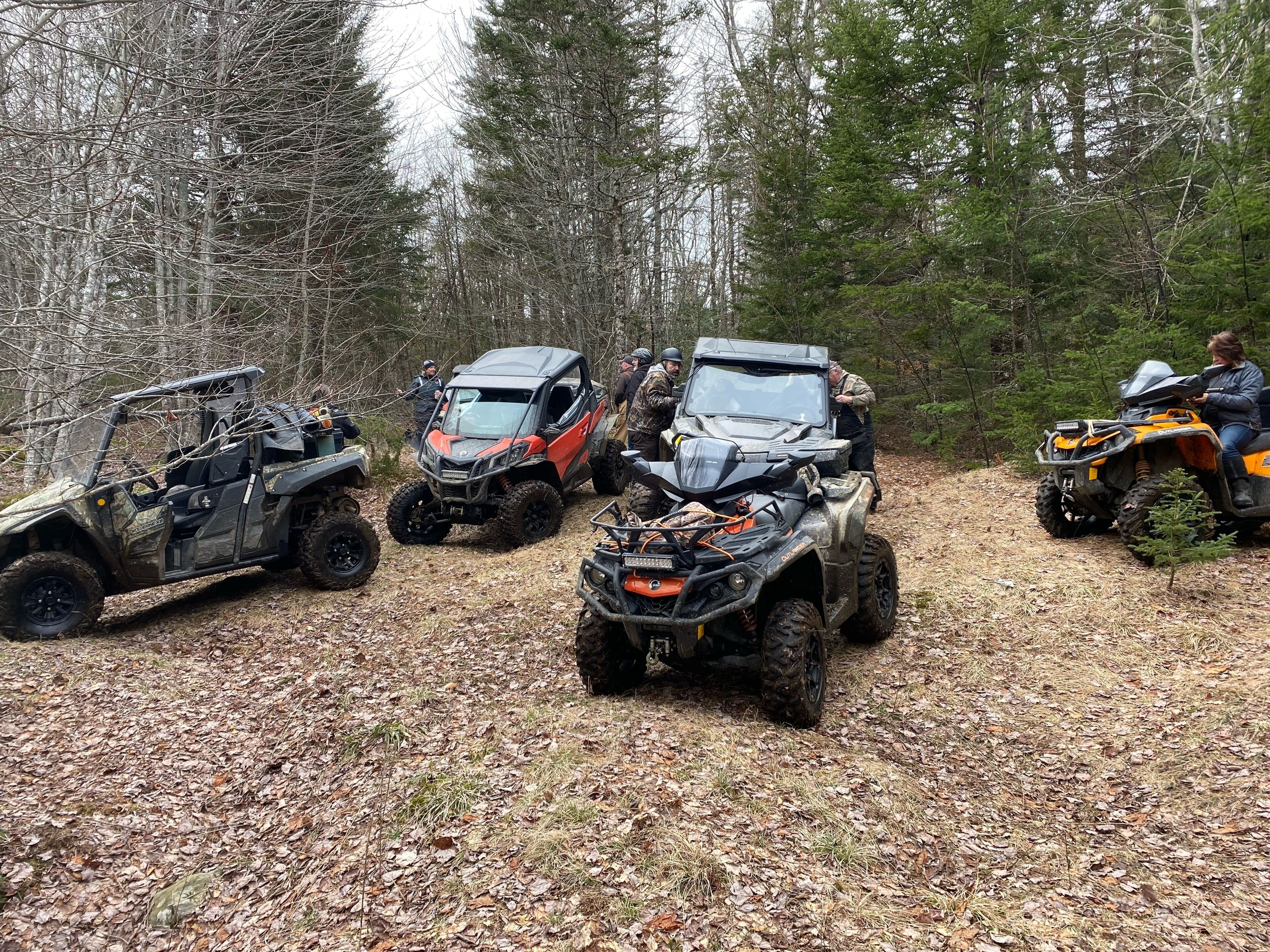 Quatre véhicules tout-terrain sont stationnés dans une zone boisée.