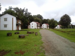 Botón de imagen sin clasificar, 2 de 19