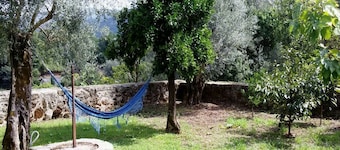 Old Cellar House in Gerês