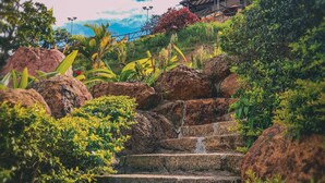 Exterior - Hotel Las Rocas Resort (Villanueva)