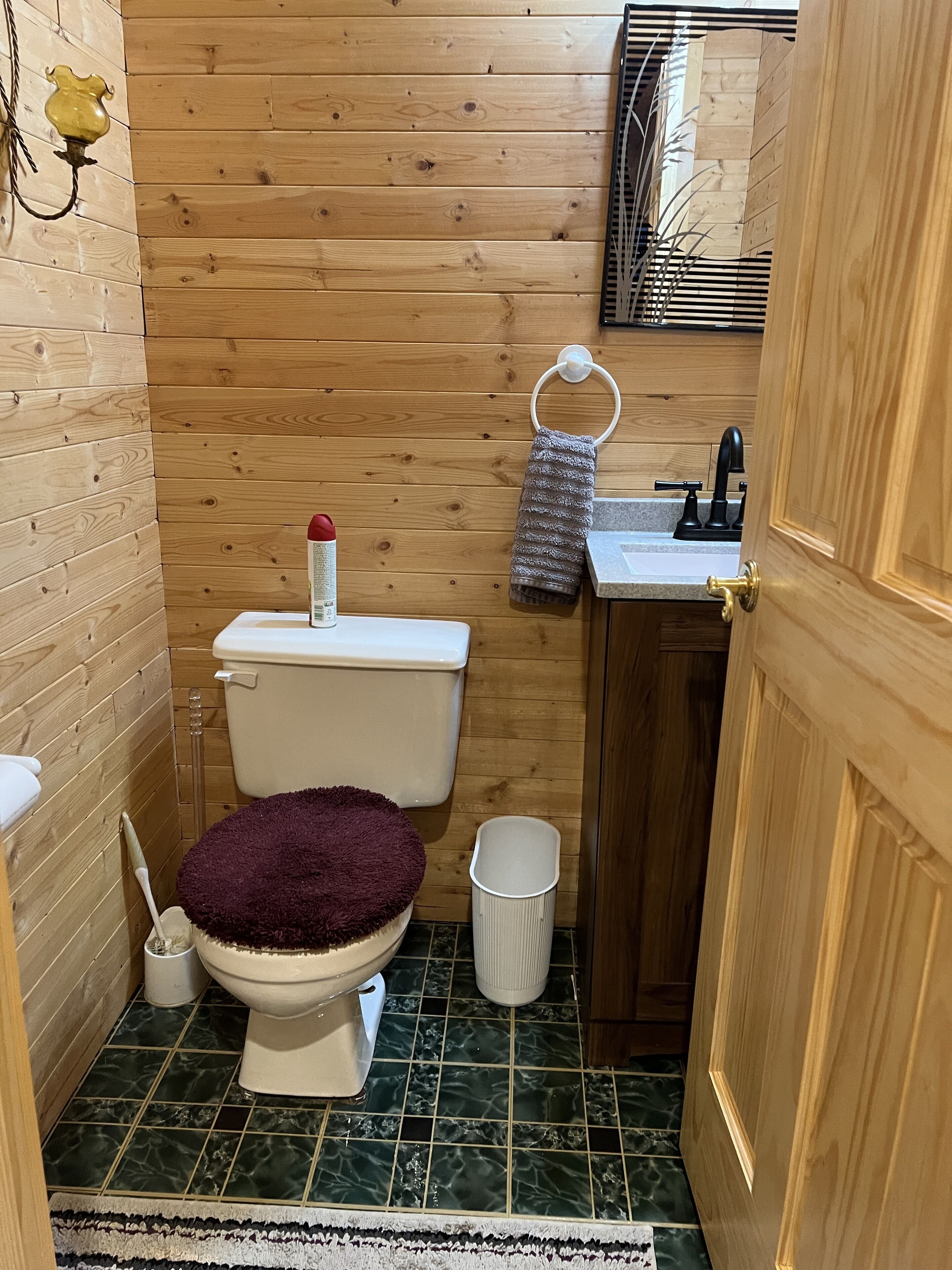 Stirling's - Farm stay hosted by Diane. Dogs and chickens on the property 