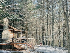 Exterior - Cozy Cabin in woods with Hot Tub, Porch Swing Bed and Fire Pit in Aska Adventure (Blue Ridge)