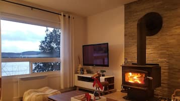 TV, fireplace