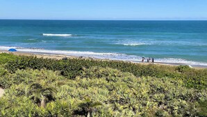 A beach with a clear view of the ocean, a few people walking along the shore, and dense greenery in the foreground. - The Sea Turtle at Spoonbill Resort Villa (Stuart)