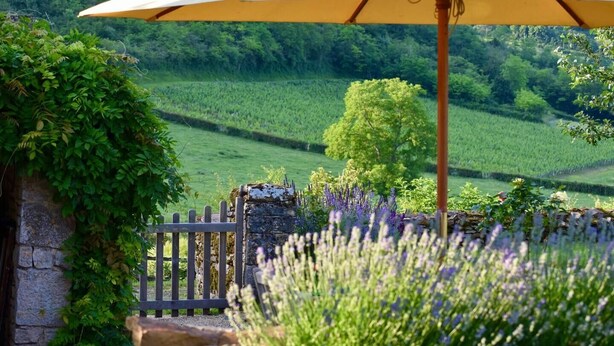 Un jardin avec un mur de pierres, une clôture en bois et un parasol jaune.