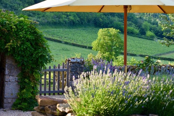 Terrain de l’hébergement 