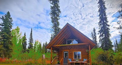 Avens Alaska