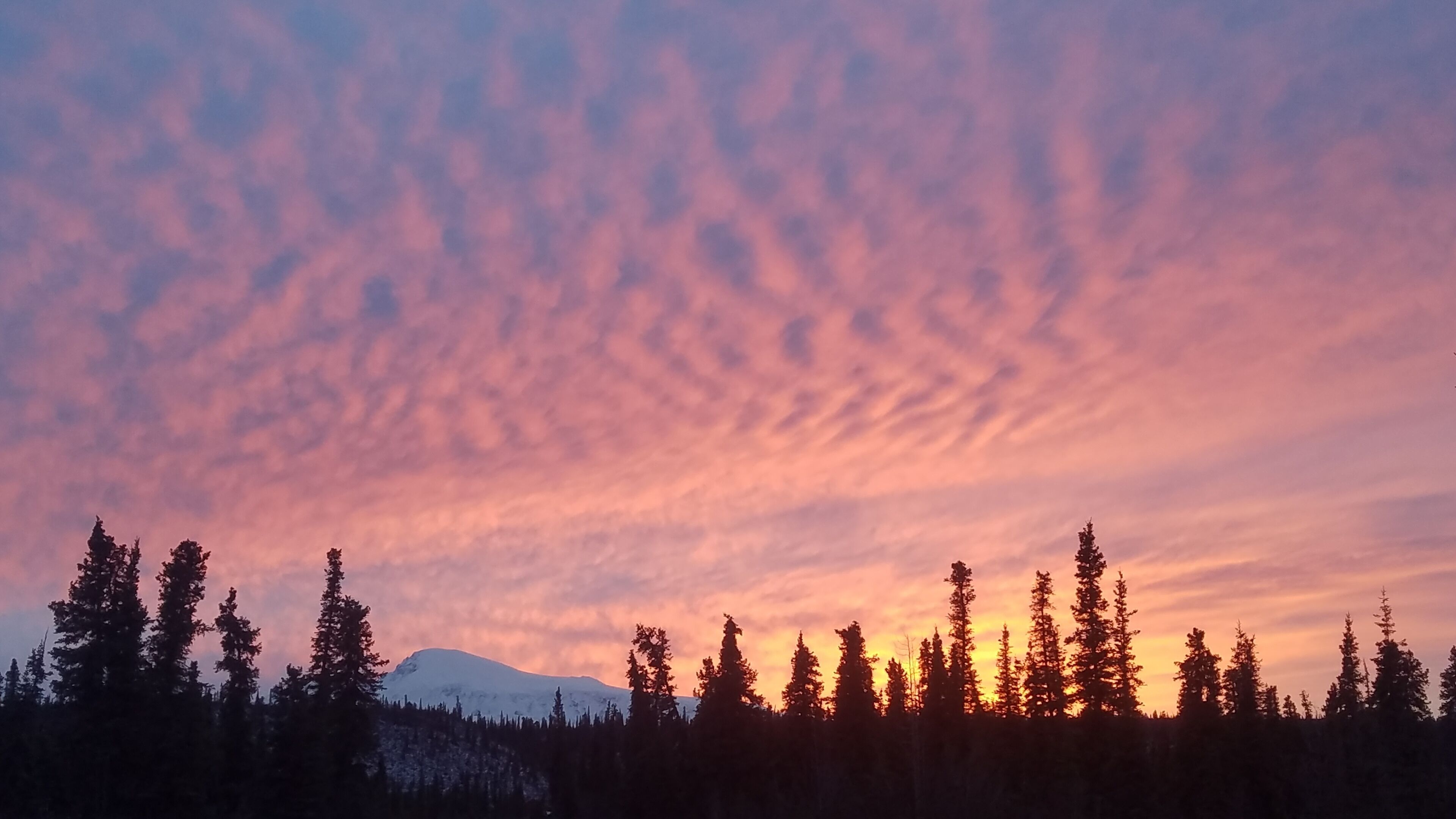 Paisaje montañoso cubierto de bosque al atardecer con cielo despejado.