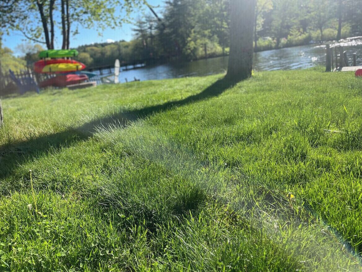Un espacio cubierto de hierba con un río y árboles al fondo.