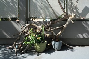 Detalle exterior