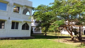 A white building with arched windows and a large tree in the foreground.