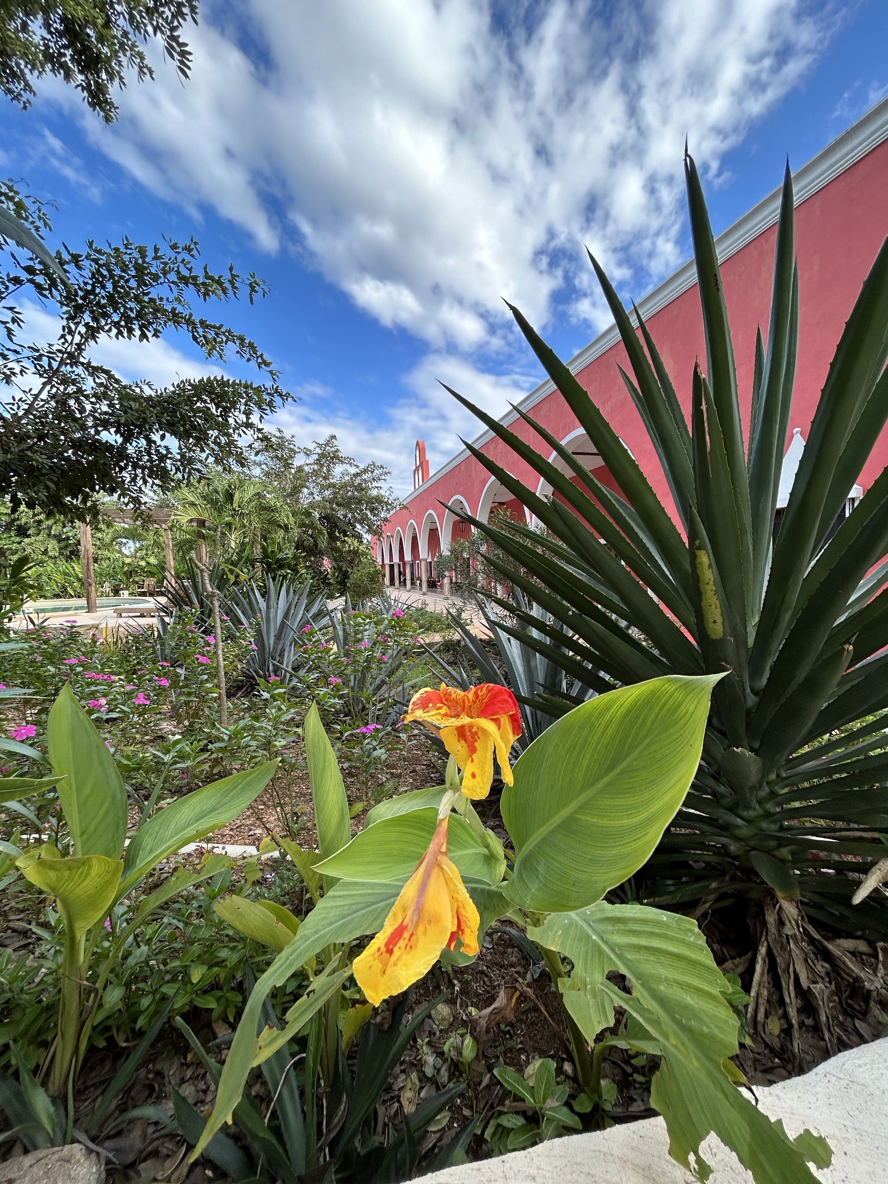 Una piscina al aire libre, camas de piscina gratis