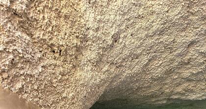 Hacienda Maria Elena Yucatán