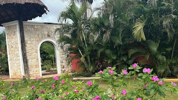 Vista frontal de la propiedad