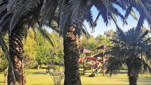 A park with palm trees and a playground.