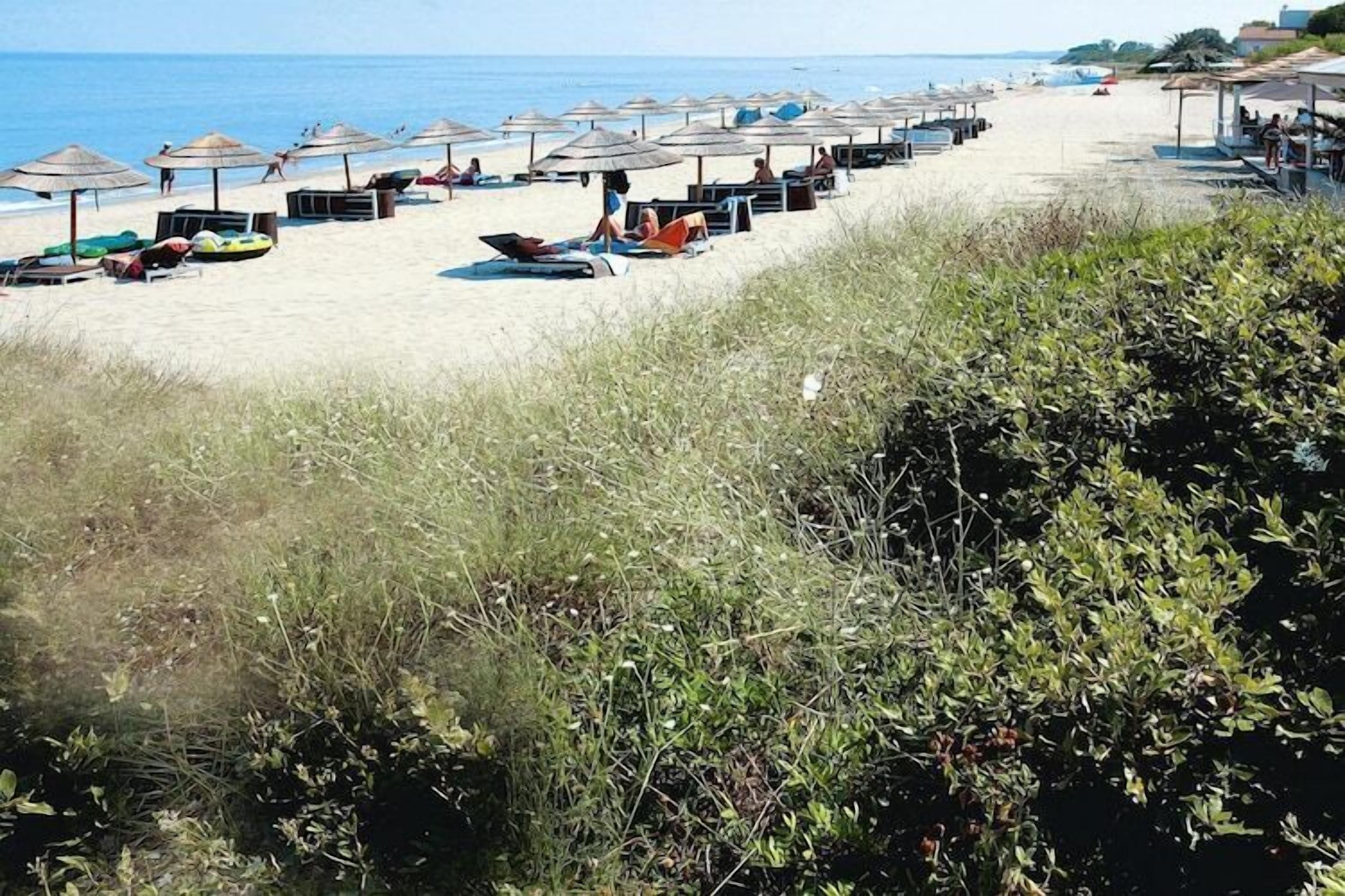 Una playa con hileras de sombrillas y tumbonas, arena dorada y una vista despejada del mar.