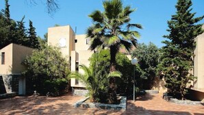 A courtyard with a palm tree, tiled flooring, and buildings with beige walls and windows.