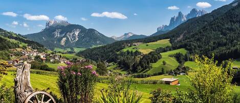 المنطقة المحيطة بالمنشأة