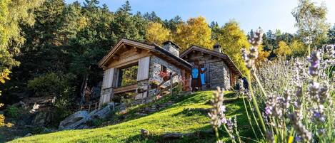 Terrain de lâhĂ©bergement