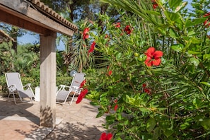 Terraza o patio