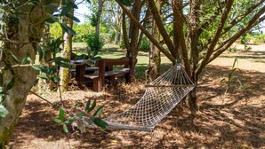 Una hamaca bajo un árbol, un banco de madera y una mesa de picnic en un área boscosa.