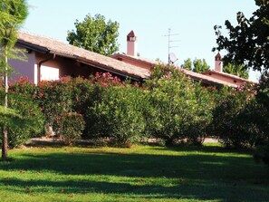 المنطقة المحيطة بالمنشأة