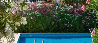 Agriturismo "Bilo Camelia" with Pool, Wi-Fi & Garden