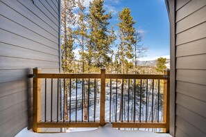 Apartment (2 Bedrooms) | Balkon