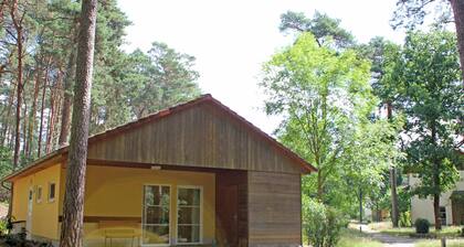 Ferienhaus - IDA Integrationsdorf Arendsee