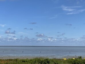 Tæt på stranden