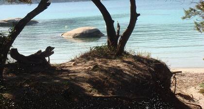 Villa encantadora para 2 personas cerca de la playa de Santa-Giulia, con A/C, terraza y parking