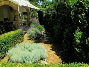 Garden - Apartments Lucia Biograd (Biograd na Moru)