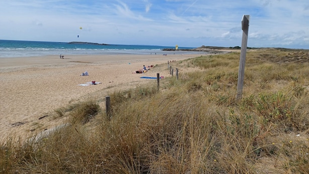 Une plage avec un rivage sablonneux, une clôture en bois et une zone herbeuse.