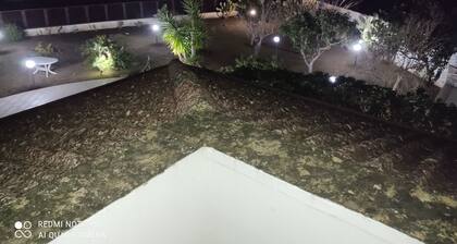 Welcome to Villa Aristogatti
