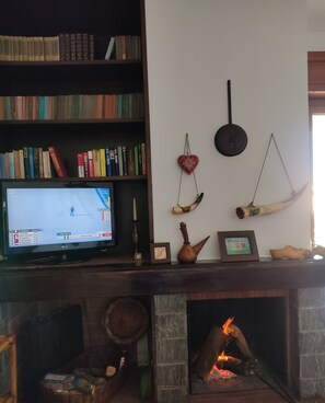 Un salon avec une cheminée, un téléviseur, une bibliothèque et des objets de décoration.