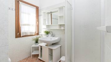 Shower, bidet, towels, soap