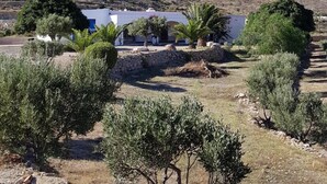 Ländliche Landschaft mit einem Berg im Hintergrund, ein weißes Gebäude mit blauem Dach und spärlicher Vegetation.