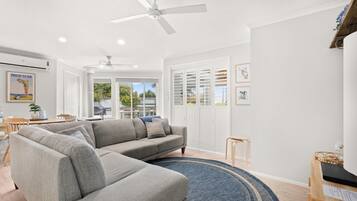 TV, fireplace, DVD player, books