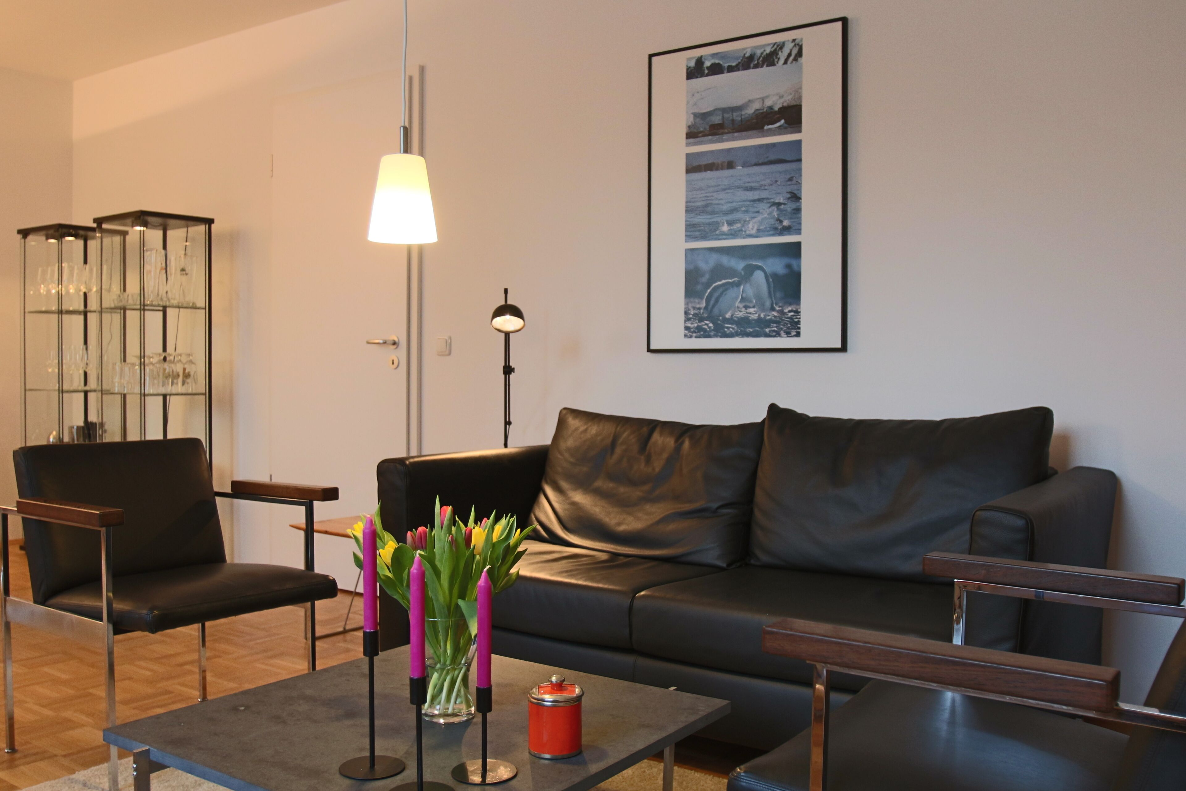 Premium Apartment University / Museum District