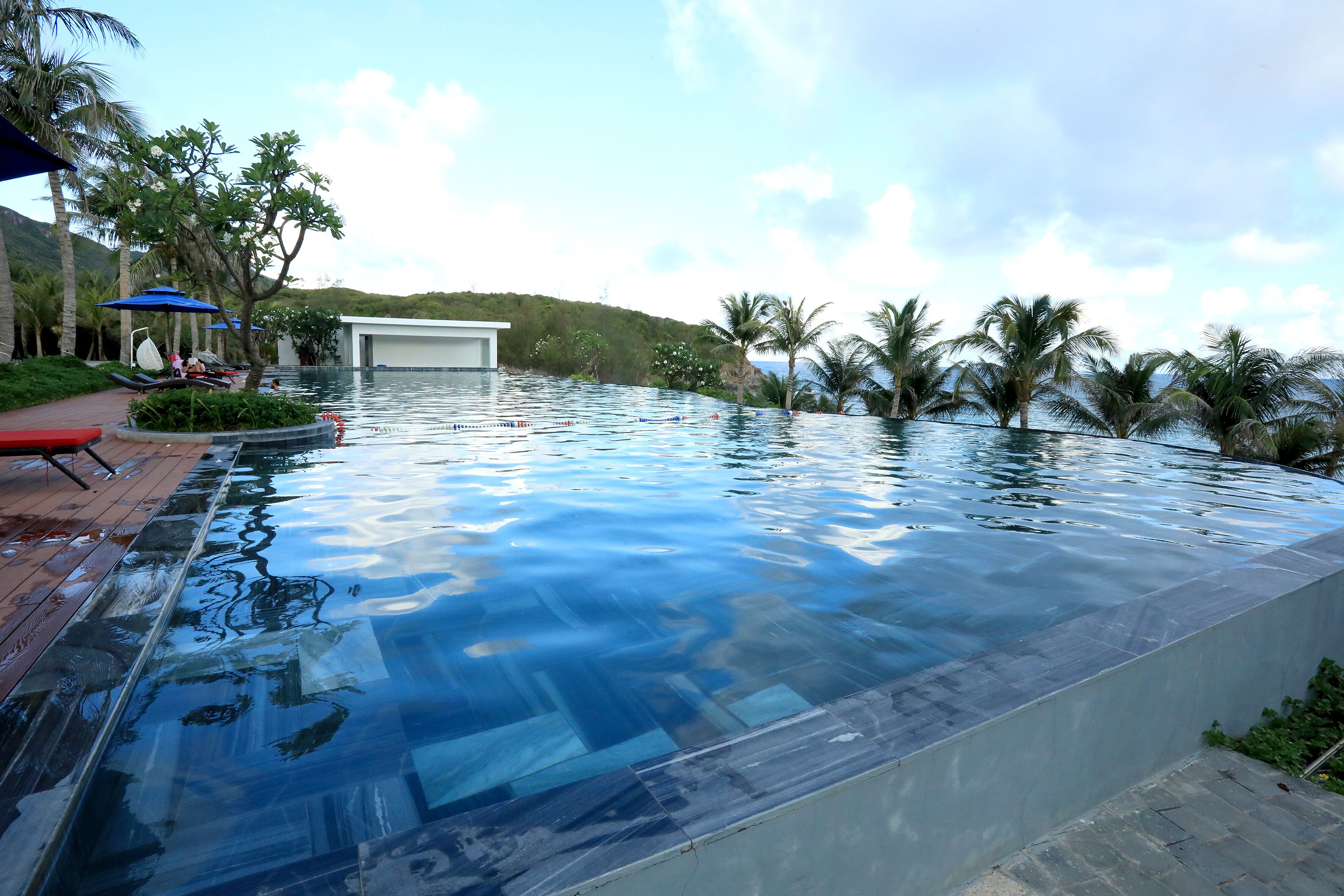 Piscina cristalina con vista a palmeras y un edificio al fondo.
